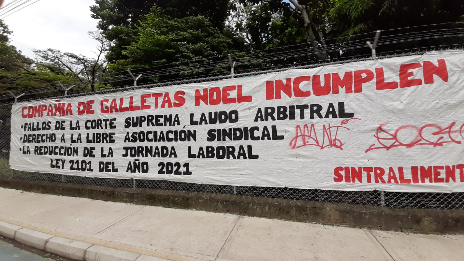 Presencia15